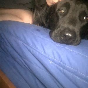 Meet your Posher, Ruth